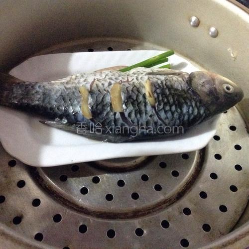 蒸鲫鱼的做法大全【图】_蒸鲫鱼的家常做法视