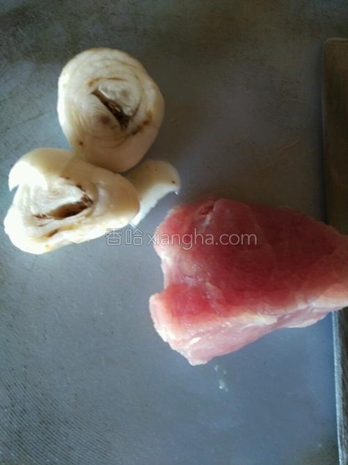 鲜百合肉末粥的做法大全【图】_鲜百合肉末粥