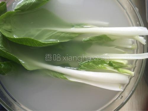 排骨青菜粥的做法大全
