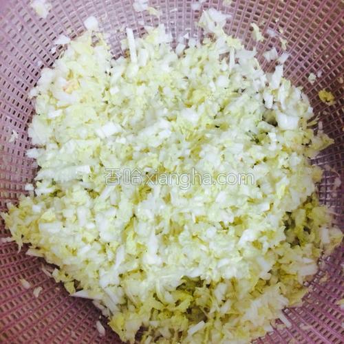 猪肉白菜馅的肉饼的做法大全【图】_猪肉白菜