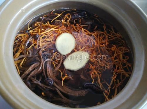 鲜虫草花煲鸡汤的做法大全【图】_鲜虫草花煲