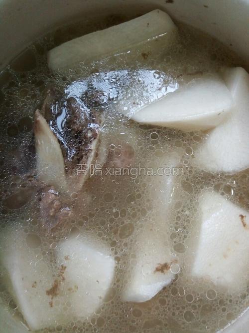 白萝卜煲大骨汤的做法大全【图】_白萝卜煲大