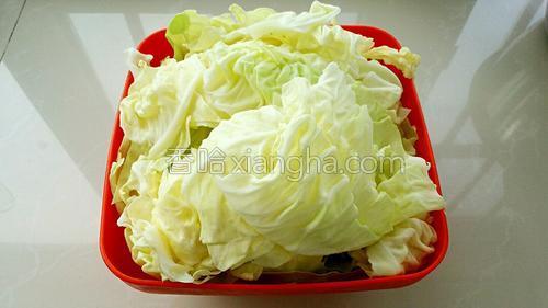 卷心菜素包子的做法大全【图】_卷心菜素包子
