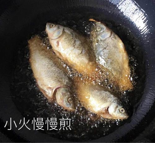 【香煎小鲫鱼】的做法大全【图】_【香煎小鲫