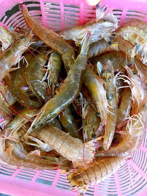 酥炸虾饼的做法大全【图】_酥炸虾饼的家常做