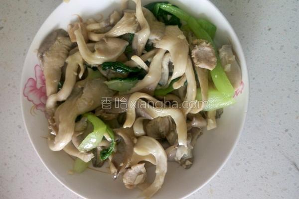 豌豆做法炒肉的油菜_平菇_香哈网茄子西红柿菜谱一起吃图片