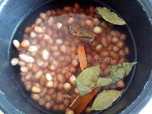 水煮花生米的做法大全【图】_水煮花生米的家