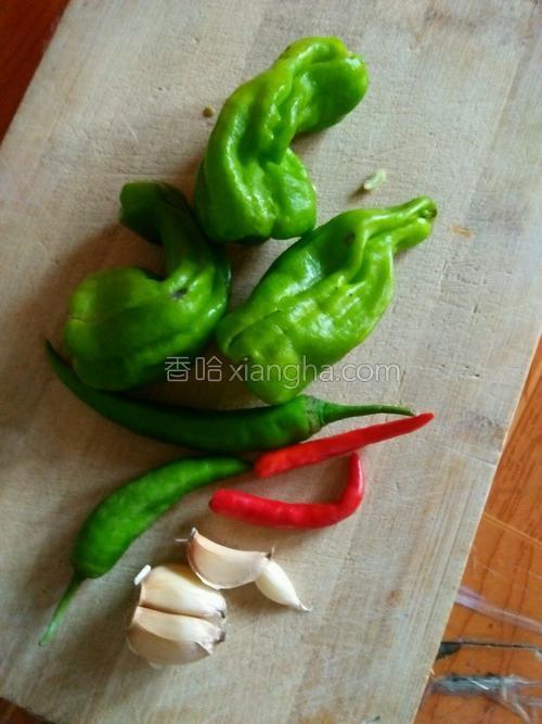 肉片炒长豆的做法大全【图】_肉片炒长豆的家