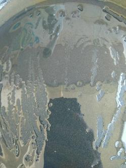 D11