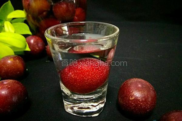 红李子酒的做法_红李子酒的做法大全_红李子