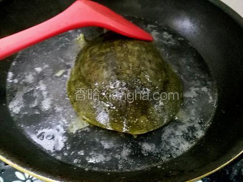 菜谱烧做法的大全排骨【图】_排骨烧甲鱼的家助消化甲鱼什么晚上有的图片