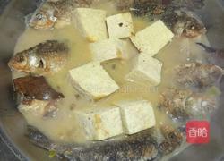 鲫鱼炖冻豆腐