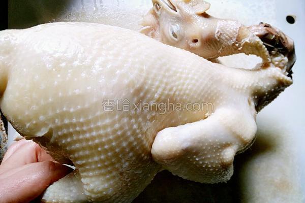 自制腌咸鸡的做法_自制腌咸鸡的做法大全_自