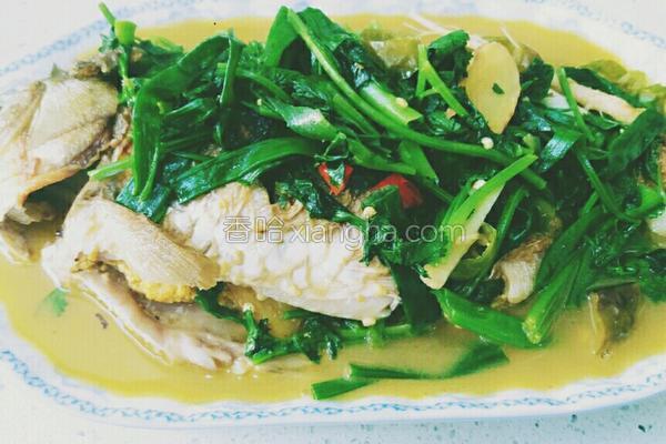 家常青椒焖鲫鱼的做法_家常青椒焖鲫鱼的做法