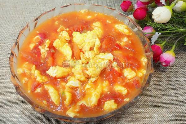 西红柿鸡蛋卤的做法_西红柿鸡蛋卤的做法大全