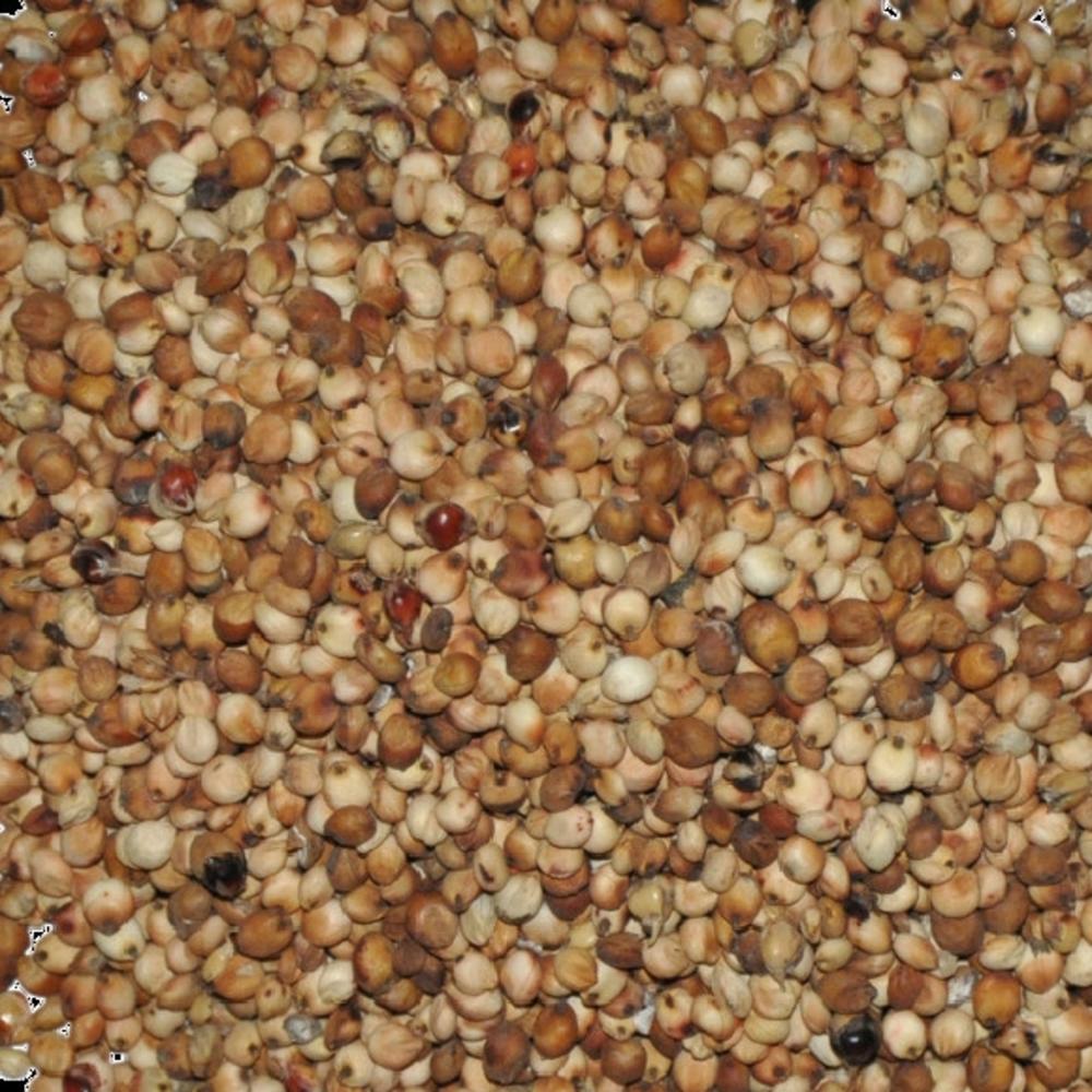 山楂高粱米粥的做法大全_山楂高粱米粥的家常