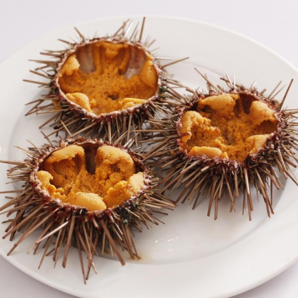 海胆粥的做法大全_海胆粥的家常做法