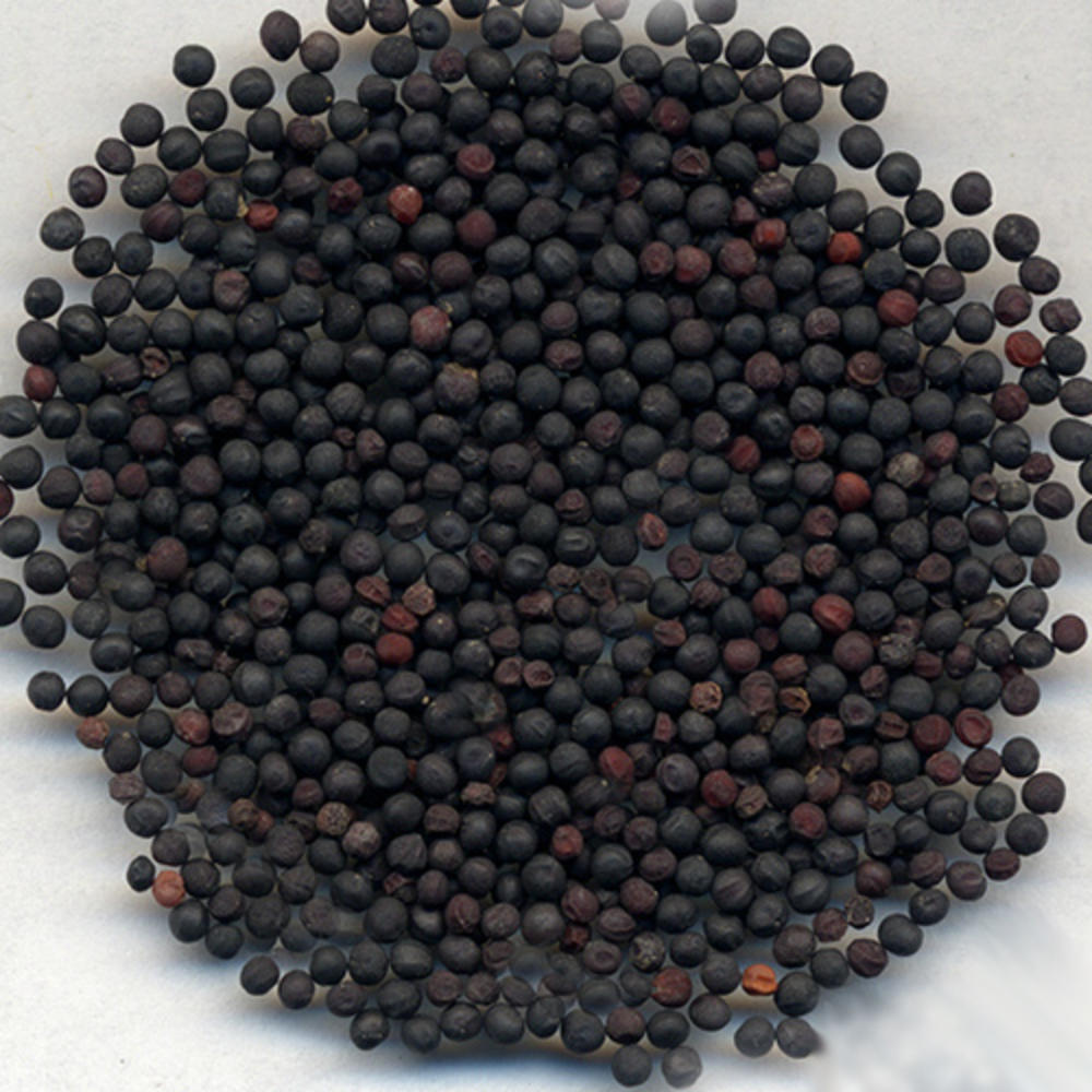 猪蹄下奶汤的做法大全_猪蹄下奶汤的家常做法