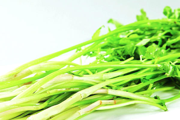水芹菜的做法大全_水芹菜怎么做好吃 - 菜谱 -