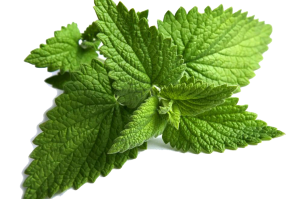 披萨草的做法大全_披萨草怎么做好吃 - 菜谱 - 香哈网移动版