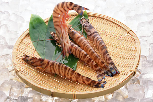 九节虾的做法大全_九节虾怎么做好吃 - 菜谱 - 