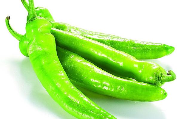 青尖椒的做法大全_青尖椒怎么做好吃 - 菜谱 -