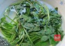 蒲公英的吃法大全 图片 MjUwX2MyOjEvM15yYjI6MS84XzE4MA