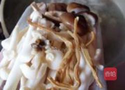 鲜菇土鸡煲的做法图解10