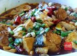 啤酒鱼炖豆腐的做法图解9
