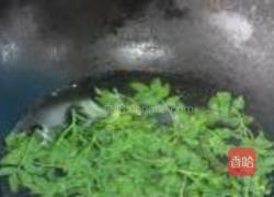 花椒芽两吃的做法图解5