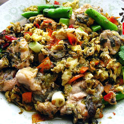 生蚝的功效与作用_生蚝的营养价值_生蚝的热量