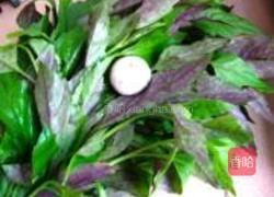蒜香紫贝菜的做法图解1