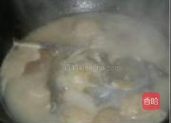 沙锅鱼头煲的做法图解3