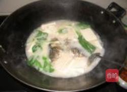 太白鱼头的做法图解6