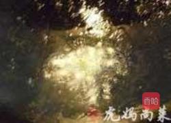 芦蒿香干的做法图解3