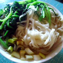 茼蒿的功效与作用_茼蒿的营养价值_茼蒿的热量