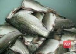 麻辣排骨鲫鱼火锅的做法图解4