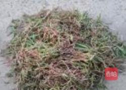野菜蒸饺的做法图解1