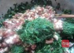 山菜猪肉水饺的做法图解7