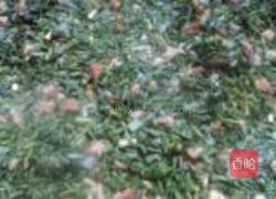 山菜猪肉水饺的做法图解8