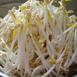 绿豆不能和什么一起吃\/同吃_食物相克大全_食