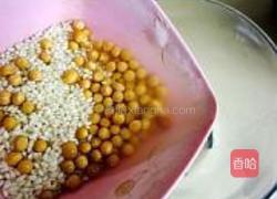 米润豆浆粥的做法图解3