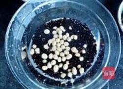 双黑米豆浆的做法图解2
