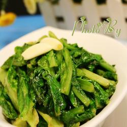 什么叫油麦菜图片 MjUweDI1MA