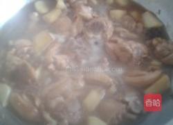 香喷喷滴鸡肉烧土豆的做法图解5