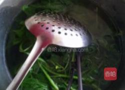 凉拌刺五加的做法图解2