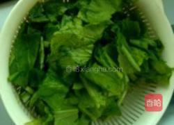 蚝油芥菜的做法图解1