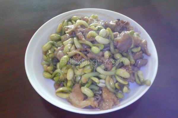 自做花生豆芽的做法_自做花生豆芽的做法大全