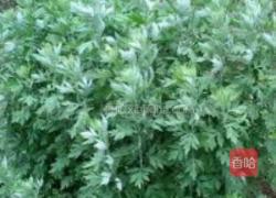 艾草糍粑的做法图解1