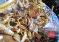 鲟鱼八珍锅的做法图解8